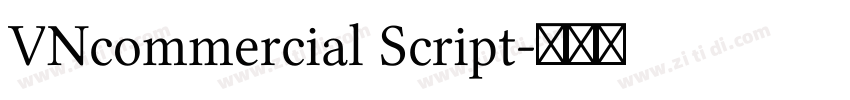 VNcommercial Script字体转换